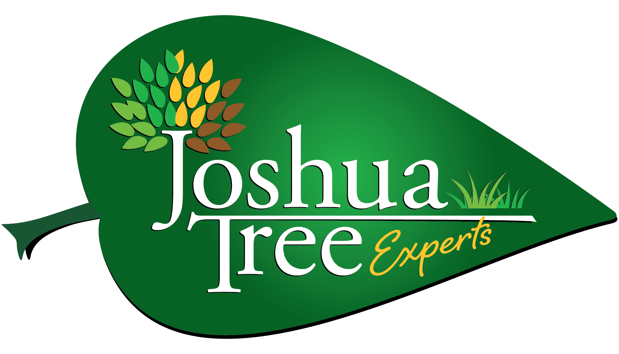 Joshua Tree Experts Franchise